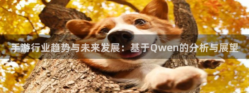 28大神下载苹果版：手游行业趋势与未来发展：基于Qwen的分