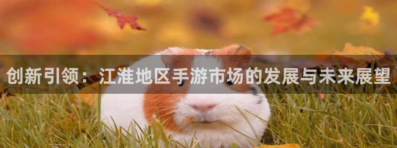 大神吧论坛28算法：创新引领：江淮地区手游市场的发展与未来展