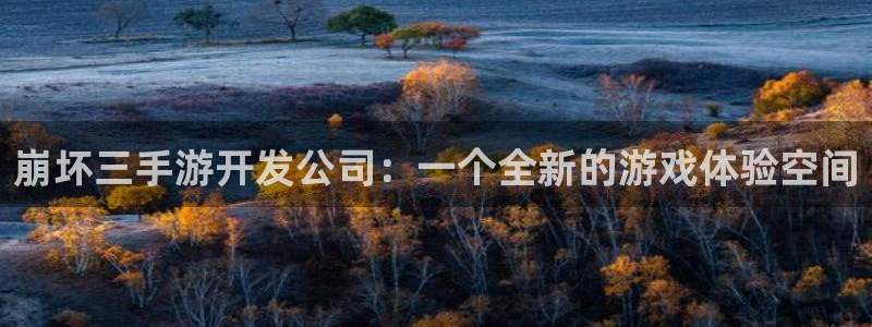 28大神网：崩坏三手游开发公司：一个全新的游戏体验空间