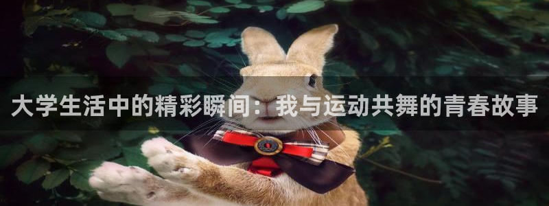 oety欧亿