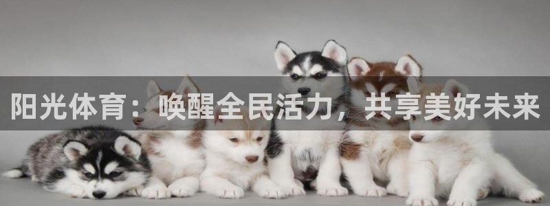 oety欧亿