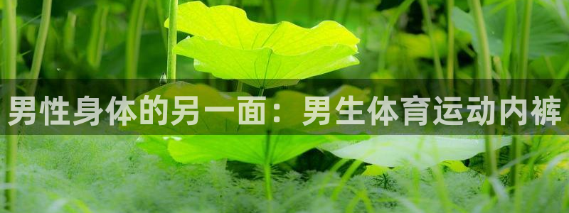 oety欧亿