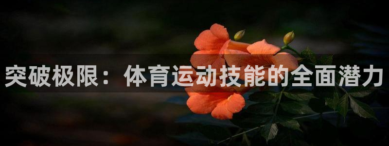 oety欧亿：突破极限：体育运动技能的全面潜力