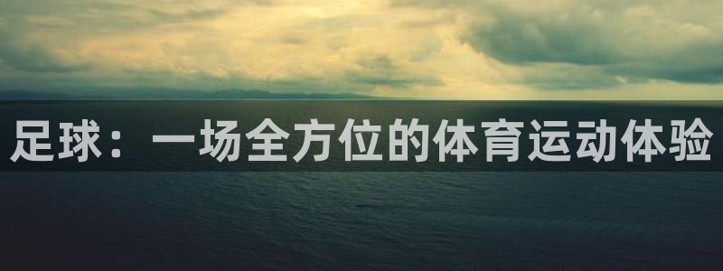 oety欧亿：足球：一场全方位的体育运动体验