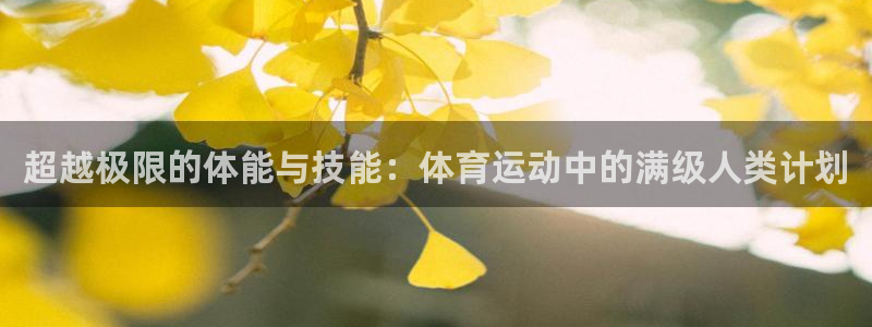 oety欧亿