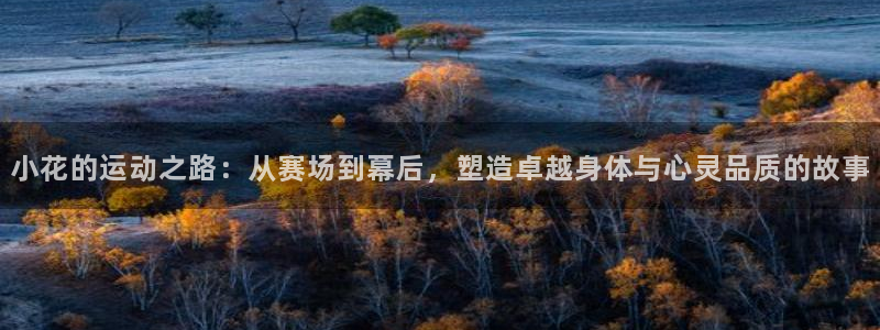 oety欧亿：小花的运动之路：从赛场到幕后，塑造卓越身体与心灵品质的故事