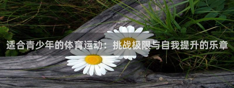 oety欧亿：适合青少年的体育运动：挑战极限与自我提升的乐章